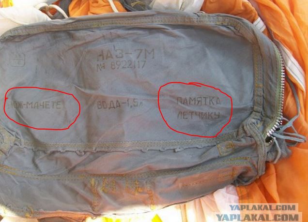 сбитый стервятник