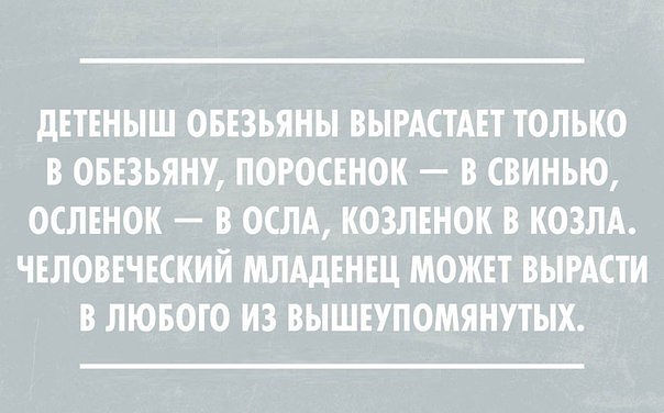30 саркастичных «аткрыток»