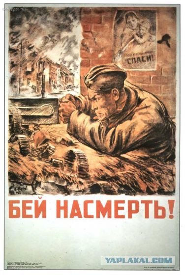 Каратели батальона «Донбасса» впали в истерику.