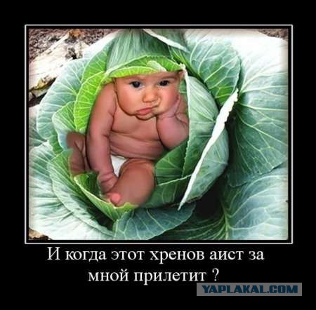Как мы с Вовкой узнавали откуда берутся дети
