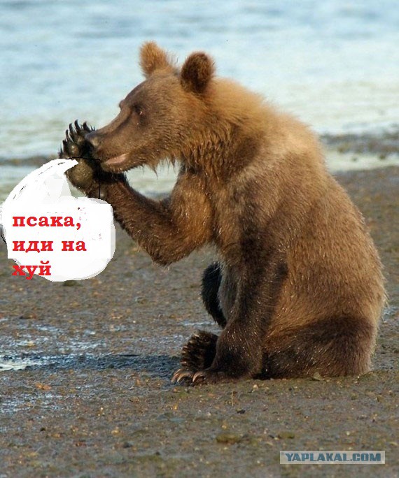 Он существует!