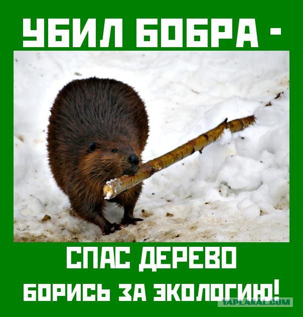 Пакет молока