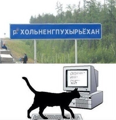 Смешные картинки