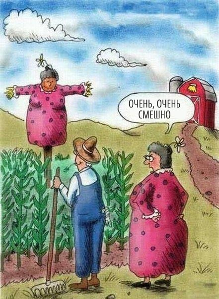 Пятничная подборка