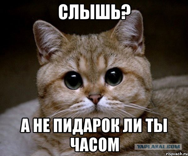 Хабаровск и гомосеки