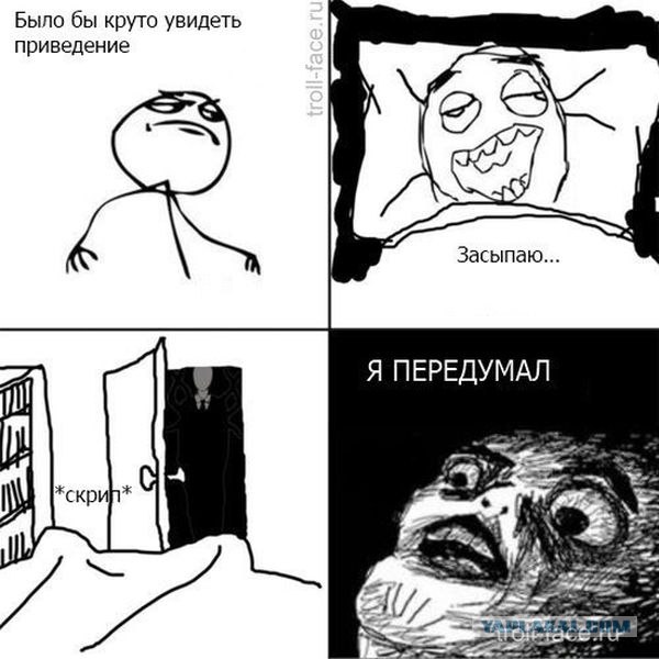 Нельзя недооценивать котейку