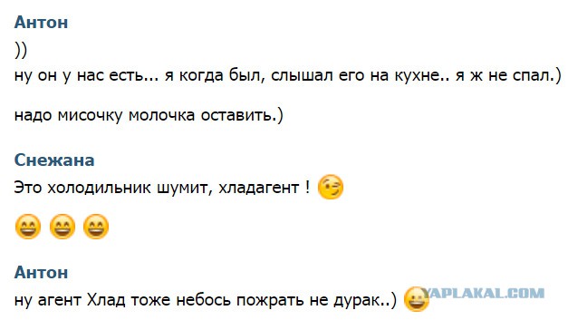 Смешные комментарии из социальных сетей