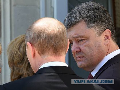 Порошенко и Путин пожали друг другу руки