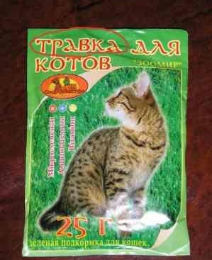Коты, кошки, котята