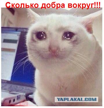 Мумитроллинг