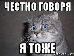 Кое-кто из социальных сетей