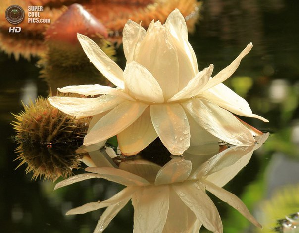 Интересные и веселые картинки