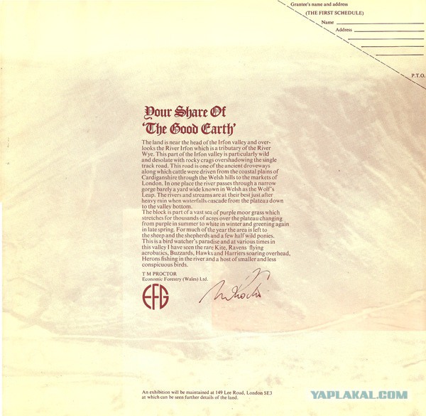 80% британцев готовы переехать в РФ, если им дадут бесплатно землю