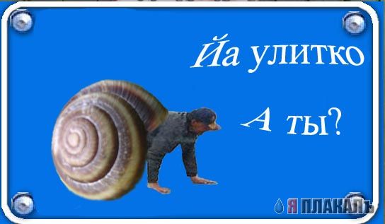 Фотожаба: ползун