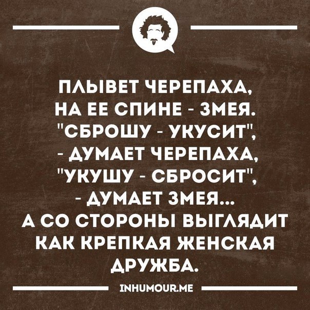 Порция позитива на вторник