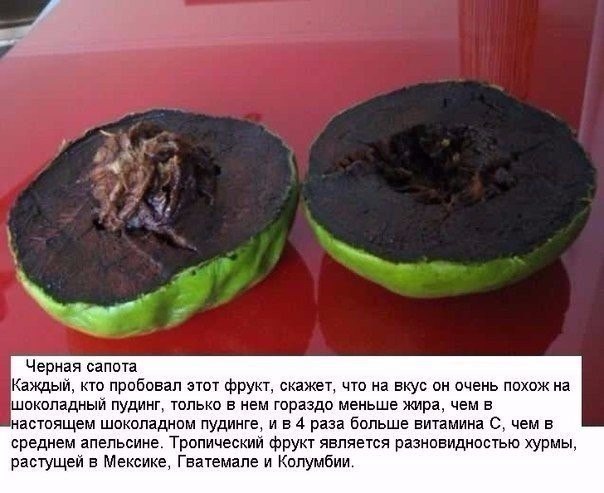 Подборка фото