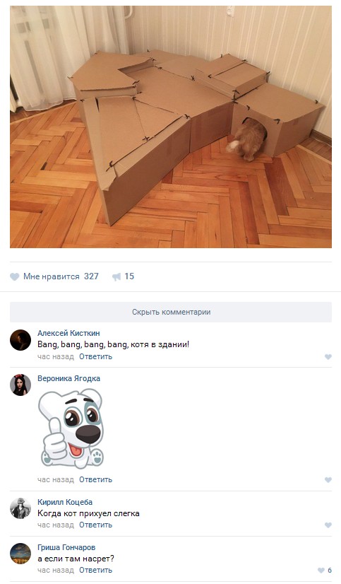 Ужасы и приколы из соцсетей 18+