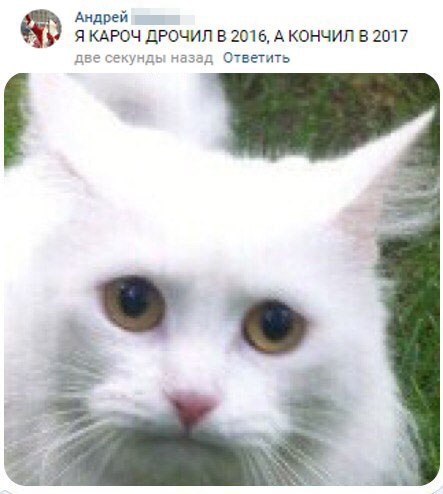 Ужасы и приколы из соцсетей 18+
