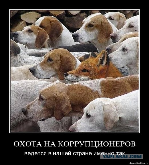 Борьба с коррупцией в Рф