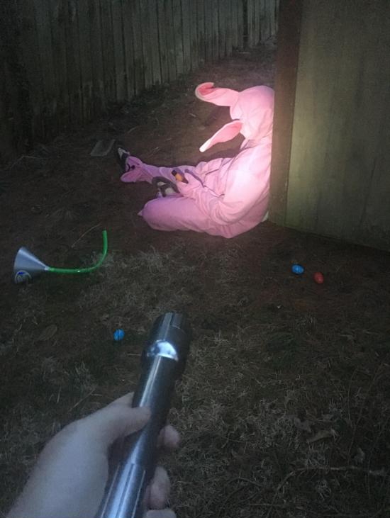 Просто 40   фоток....