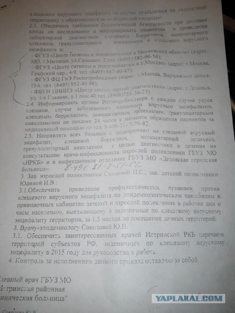 Как вытащить клеща ниткой