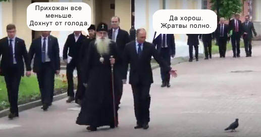 Путин поздоровался с голубем