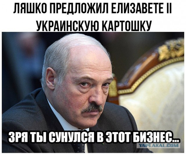 На своем подворье Александр Лукашенко собрал 105 тонн картофеля