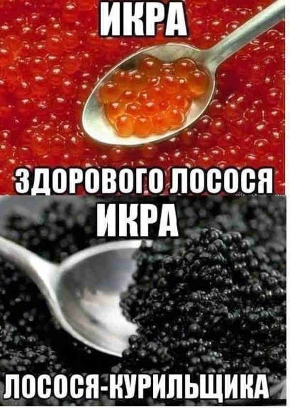 Выходные наступили, а мы весело тупили