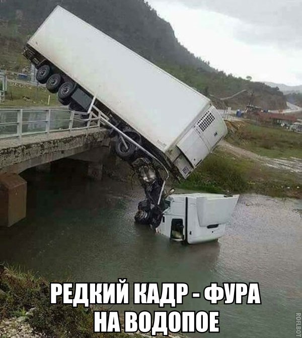 Путь на Каргополь через Вологодскую область отрезан!