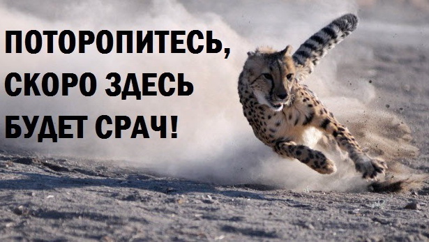 Паштет печёночный. Технология.