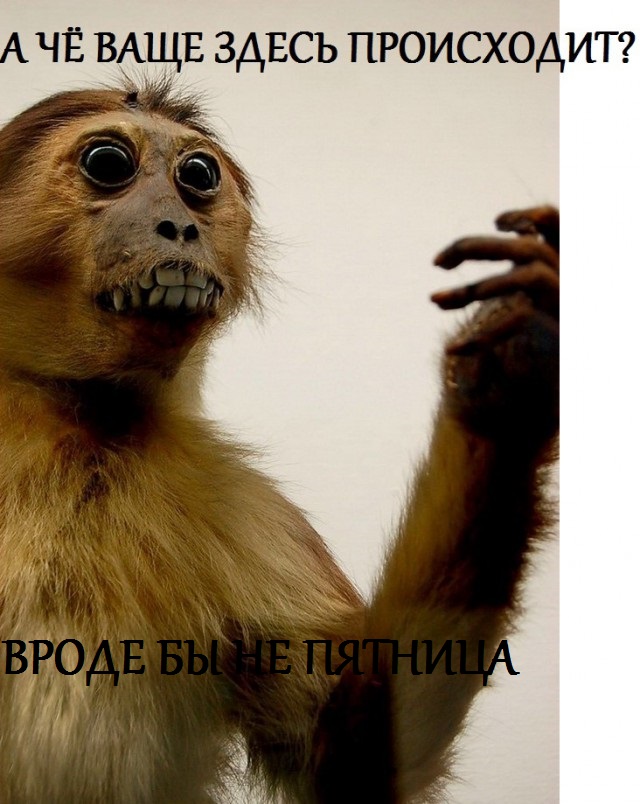 Прикольные картинки.