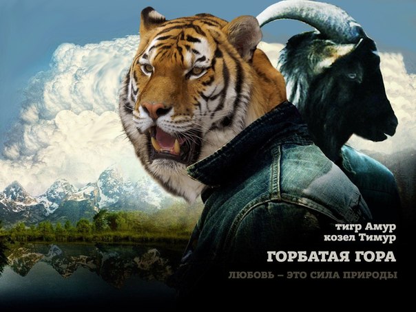 В крымском зоопарке амурский тигр Мурзик изнасиловал козла Иннокентия, а потом его съел