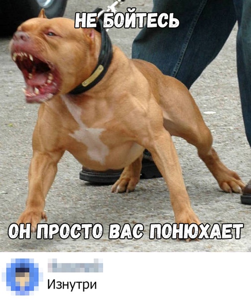 Немного картинок для настроения