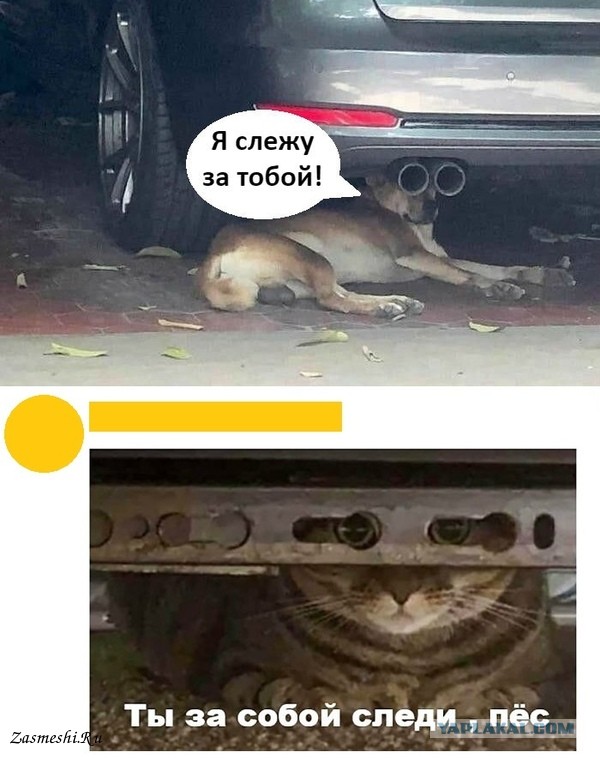 Не очень адекватный юмор