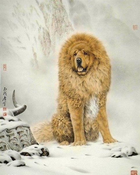Эти забавные животные