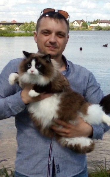 Большие кошки с котятами