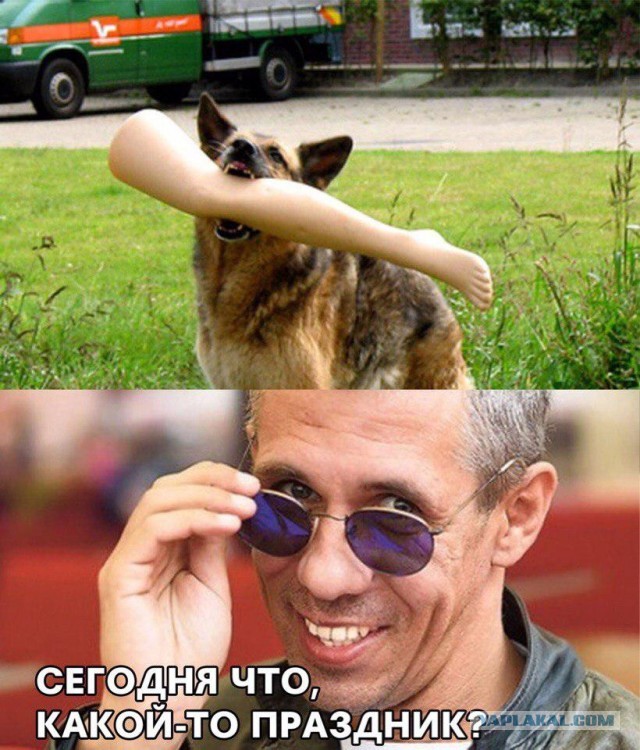 Под Петербургом собака принесла в зубах человеческую ногу. Другие части тела ранее нашли дети