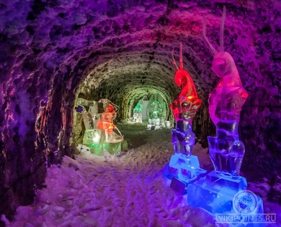 20 самых странных музеев мира. 18+