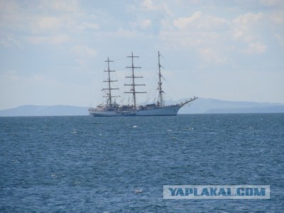 Я люблю Владивосток