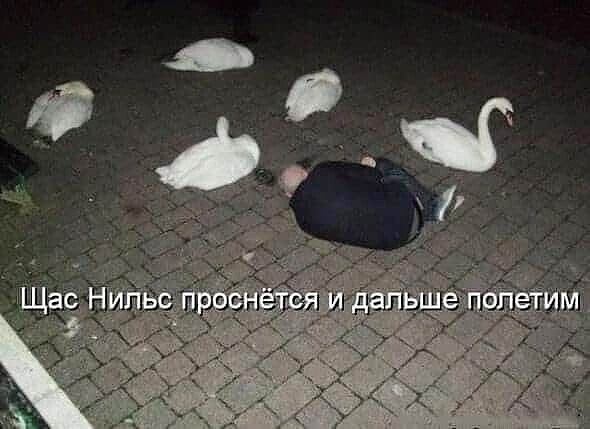 Всякой Хни вам в ленту, дорогие деграданты...