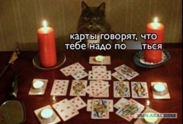 Немного баянов вам в ленту