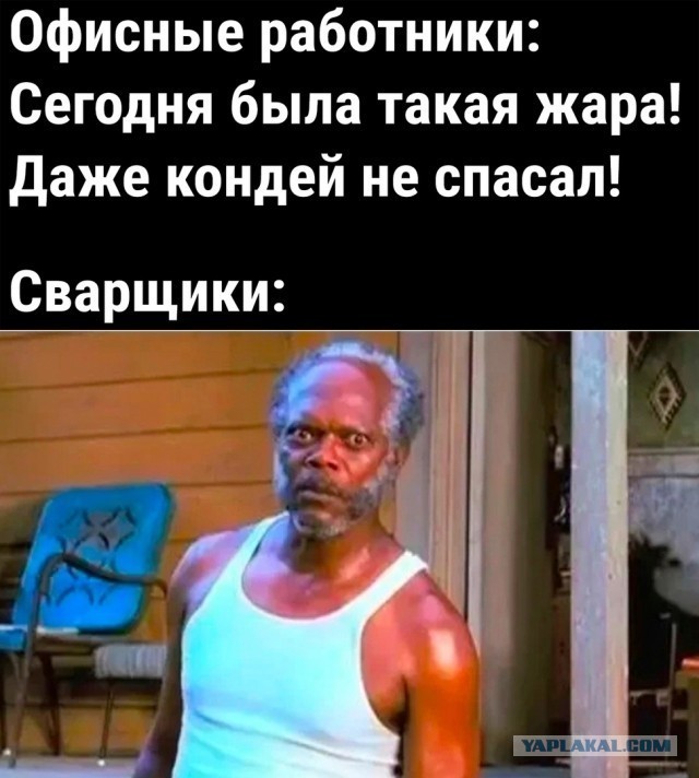 Так себе картинки 13.07.22