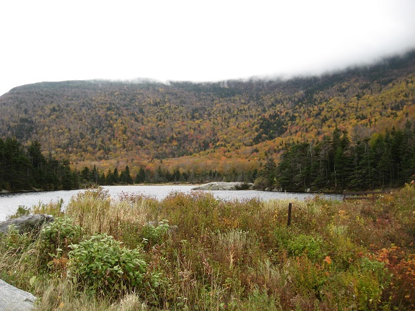 Деревенская Америка