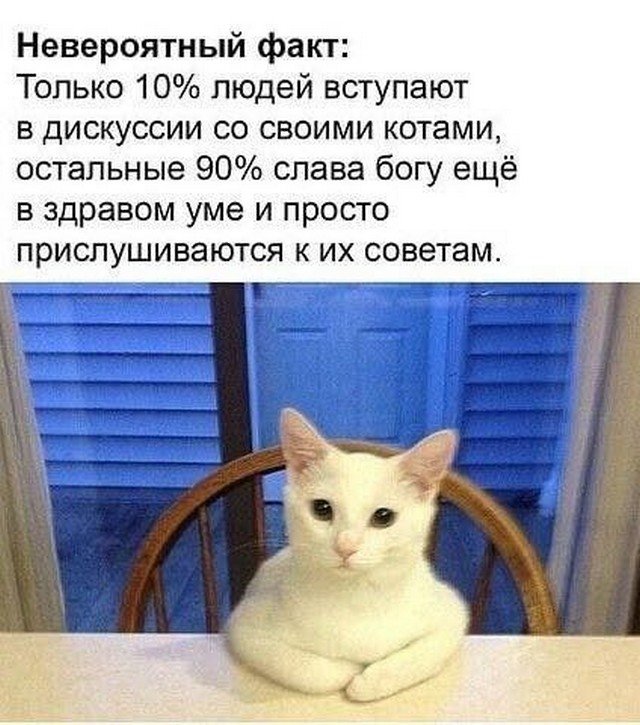 Картинки и мемы для настроения - 125