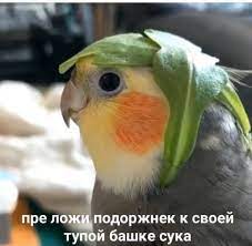 Так дальше жить нельзя. Перемен требуют наши сердца!