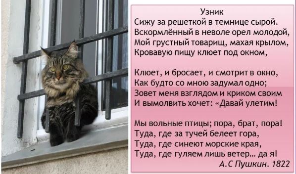 Для тех, кто считает коронавирус выдумкой