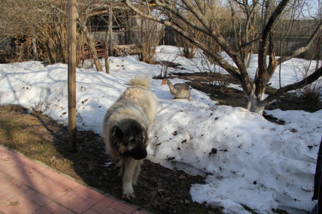 Такая вот дружба