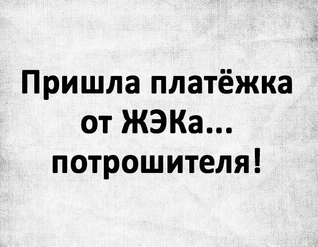 Весёлый полтишок 12.11.23