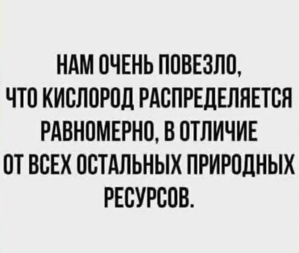 20403055.jpg