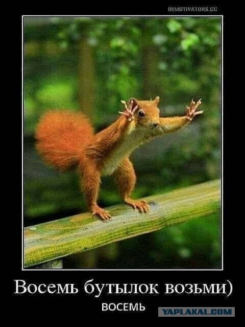 2026 год будет последним.